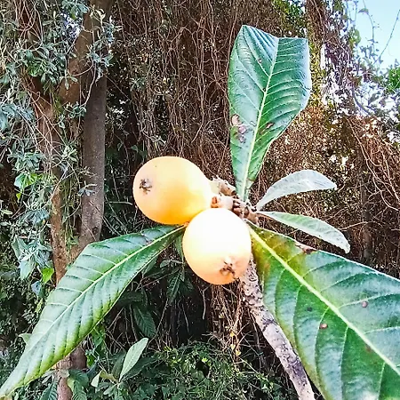 Amazing Sea View Maisonette Sea La Vie Apartament Kriopigi