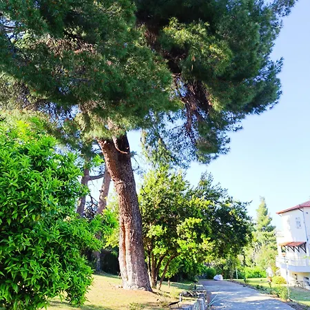 Amazing Sea View Maisonette Sea La Vie Apartment Kriopigi